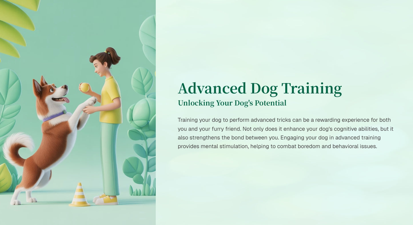 Advanced Dog Training  Unlocking Your Dog's Potential