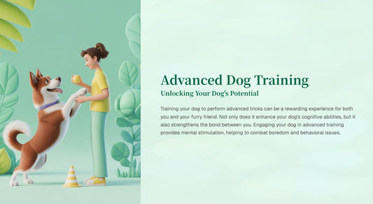 Advanced Dog Training  Unlocking Your Dog's Potential